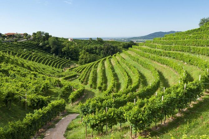 2 Guests Private Prosecco Road Tour All Inclusive from Conegliano - Stop 1 in Conegliano: Castle views, a cellar visit, and cicchetti