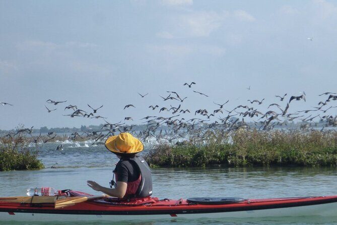 2 Hour Night Kayak Tour in Venice, premium experience with sunset - Kayak tutorial and gear: you’ll be riding fast or safely by minute one