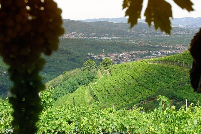 Amarone & Soave Wine Tour with Sommelier – Visit Verona - Key highlights you’ll care about