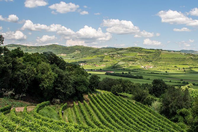 Amarone & Soave Wine Tour with Sommelier – Visit Verona - Lunch and snack strategy: the small meal that keeps the day from dragging