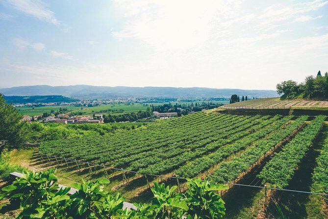 Amarone Wine-tasting Tour from Verona with Private Transportation - Two Wineries in Sant’Ambrogio di Valpolicella: Amarone Comes with Context