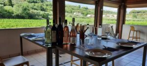 Bardolino: Vineyard Tour with Wine, Olive Oil & Food Tasting - Meet the guide: Marco and Jack’s style of wine education