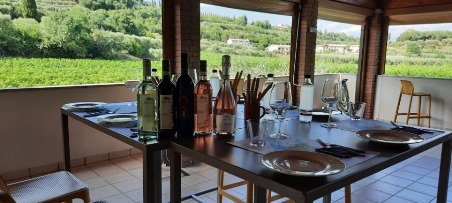 Bardolino: Vineyard Tour with Wine, Olive Oil & Food Tasting - Meet the guide: Marco and Jack’s style of wine education