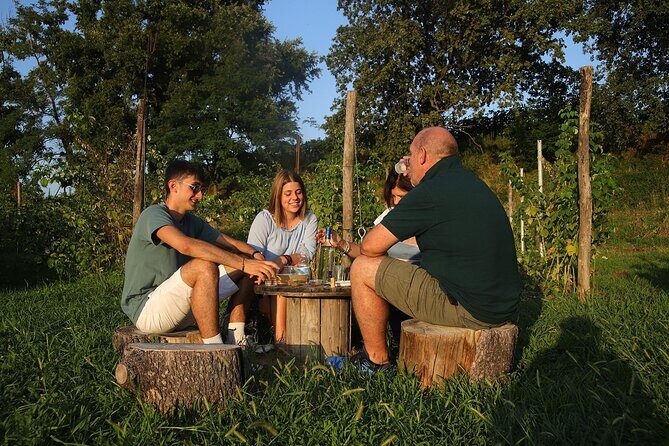 Beekeeping Farm Tour and Tasting Experience in Lazise - Timing, Weather, and Getting There Without Stress