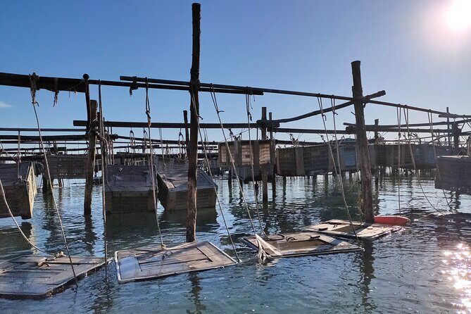 Chioggia : Aquaculture Secrets Tours of the Lagoon - Stop 1 in Chioggia: the mussels farm and how breeding works