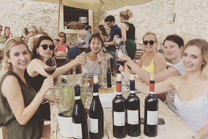 Discover Valpolicella Vineyards and Wine Tasting Experience - The vineyard walk: learn the basics before you taste