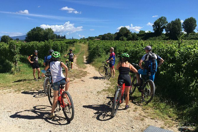 E-Bike Tour and Wine Tasting in Lazise - A Small Town Near Lazise: The Slow-Down Moment Between Vine Rows