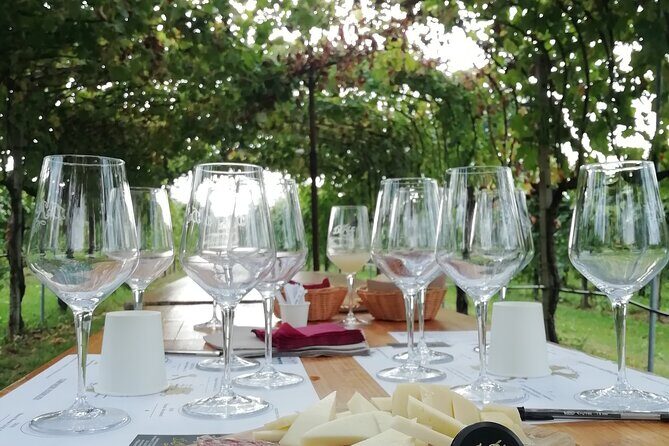 Full Day Wine Tour and Tasting in the Prosecco Region - The First Winery Stop: Prosecco Production Tour Plus Lunch