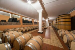 Lake Garda: Garda Hills Wine Tour and Tasting - What Happens When You Arrive at the Family Estate