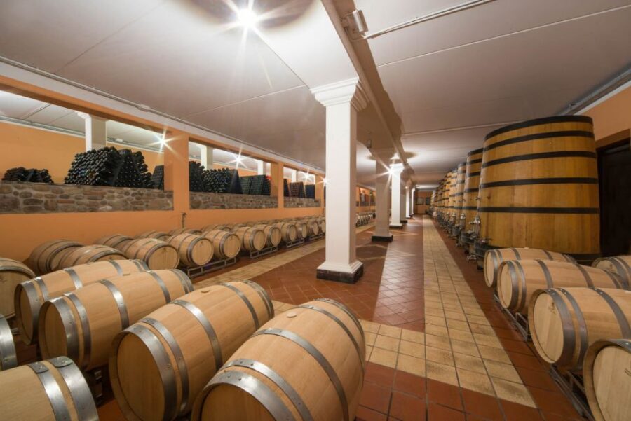 Lake Garda: Garda Hills Wine Tour and Tasting - What Happens When You Arrive at the Family Estate