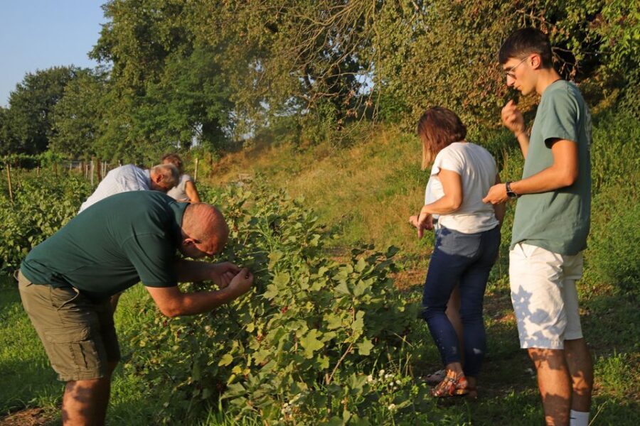 Lazise: Beekeeping Farm Tour and Tasting Experience - Weather happens: how they keep the experience moving