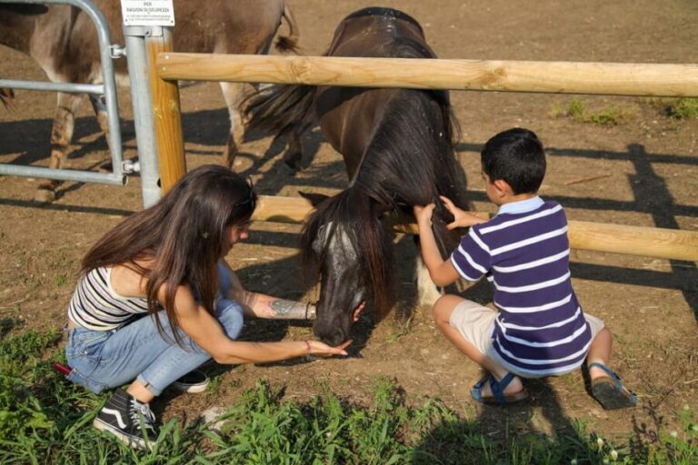 Lazise: Biodynamic Farm Tour and Natural Wine Tasting - Touring the Farm: Vines, Veggies, Bees, and the Animals That Keep It Balanced