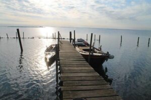 Learn to Row in the Venice Canals - What You Learn: Traditional Boat History and Rowing Technique
