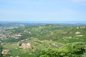 Pagus Wine Tours® - A taste of Amarone - Half day wine tour - Meeting point, start time, and what the 3.5 hours really means