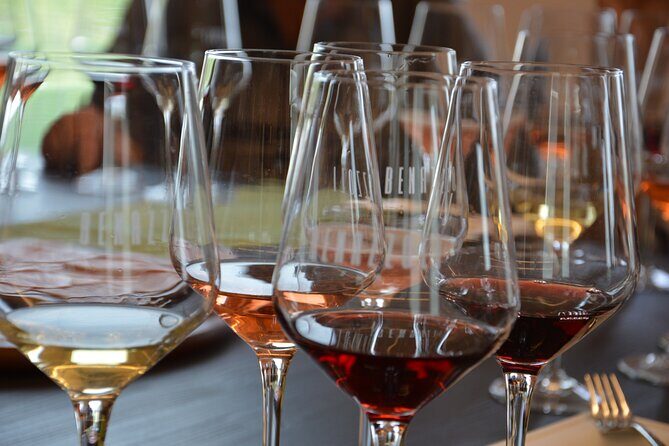 Pagus Wine Tours® - Sirmione by boat and Amarone - Full day tour - Stop on the lake: what to do with 30 minutes near Sirmione