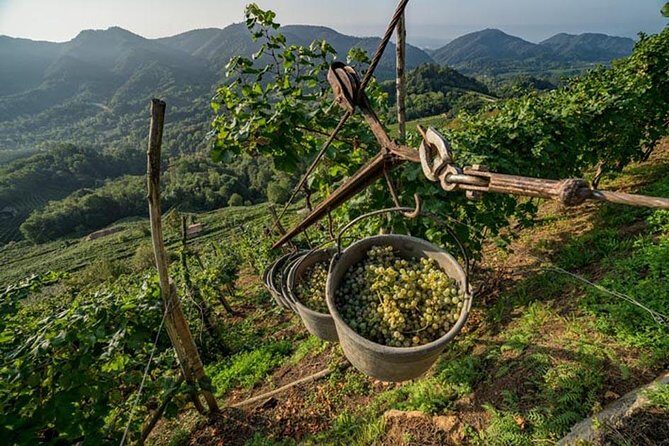 Premium Prosecco Hills Winery Tour with Prosecco Tastings & Food - Valdobbiadene stop: using time wisely in the Prosecco zone