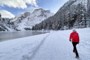Private Guided Tour in the Dolomites from Venice - Lago di Misurina: the high-altitude alpine lake stop (and food options)