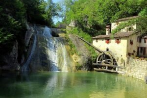 Small Group Prosecco Experience from Venice - Boutique Winery - Cantina Pietrovecchio in the DOCG production zone