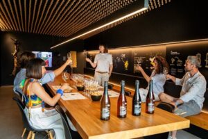 Tasting Prosecco with appetizers - Where the Experience Takes Place: Cartizze Pdc in Valdobbiadene