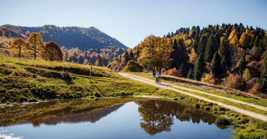 Valdobbiadene: Guided E-Bike Tour in Prosecco Hills - The 4-hour flow: how the timing keeps it fun, not rushed