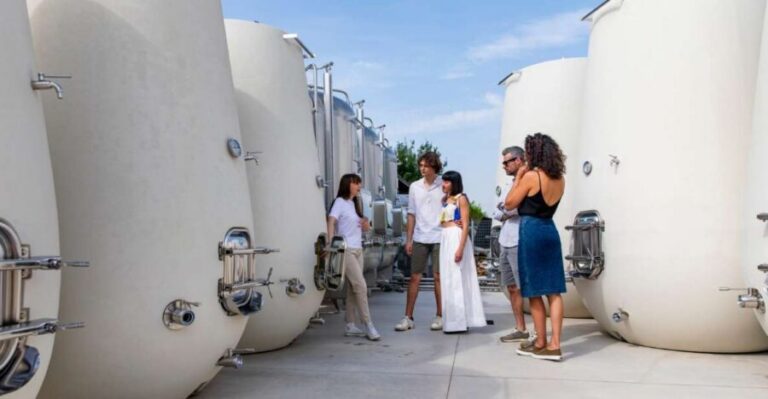 Valdobbiadene:Prosecco tasting,appetizers,winery & vineyard - The tasting room mini-course: four wines, one clear method