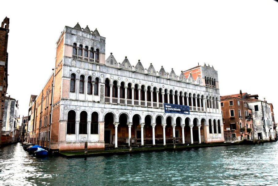 Venice: Natural History Museum Entry Ticket - Tickets, hours, and the Venice Access Fee