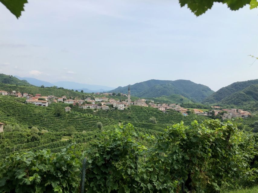 Venice: Prosecco Hills Wineries Tour with Tastings and Lunch - Getting out of the crowds: small-group pacing and private van comfort