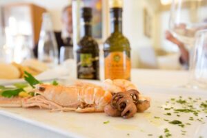 Venice to Padua Full-Day Brenta Riviera Boat Cruise - Meeting at Riva degli Schiavoni and what to expect from a full-day mini-cruise