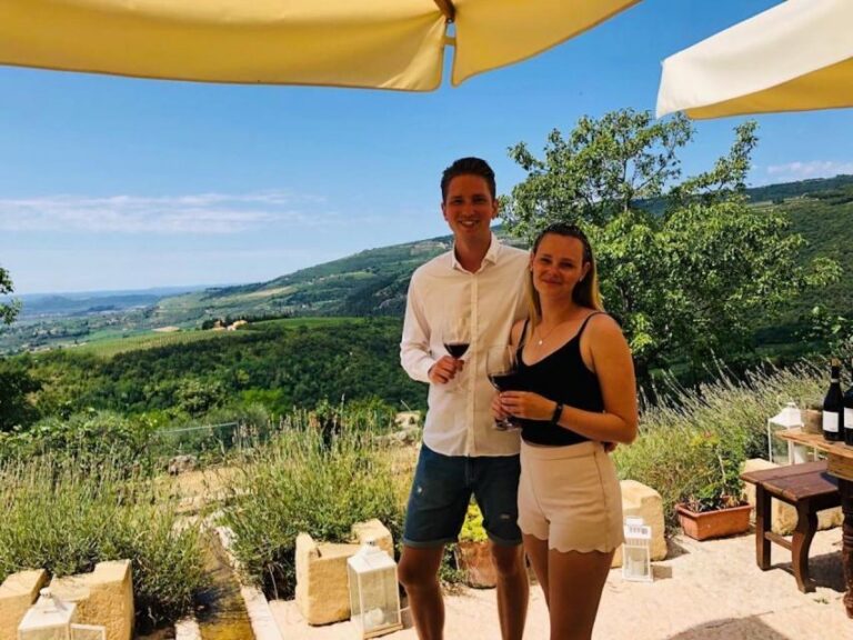 Verona: Vineyard and Winery Tour with Wine Tasting - Vineyard walk and winery stories in the Valpolicella hills