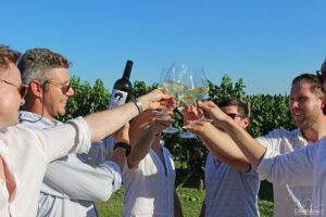 Wine and Food Tasting in the Vineyards in Lazise - The heart of the experience: what you actually taste