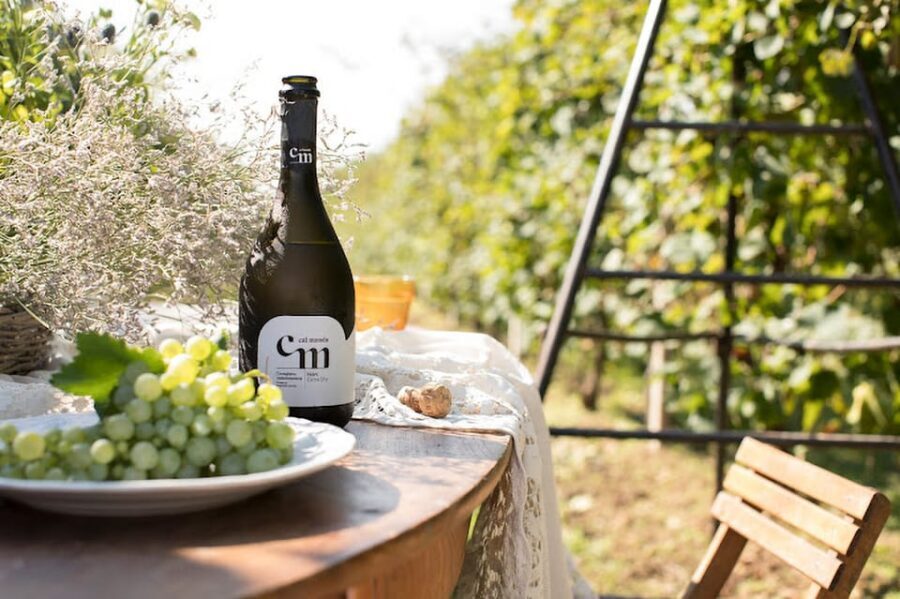 Wine Tasting: the flavors of the “Prosecco Hills” - Who this Prosecco Hills tasting fits best